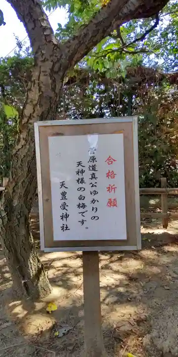 天豊受神社のその他建物
