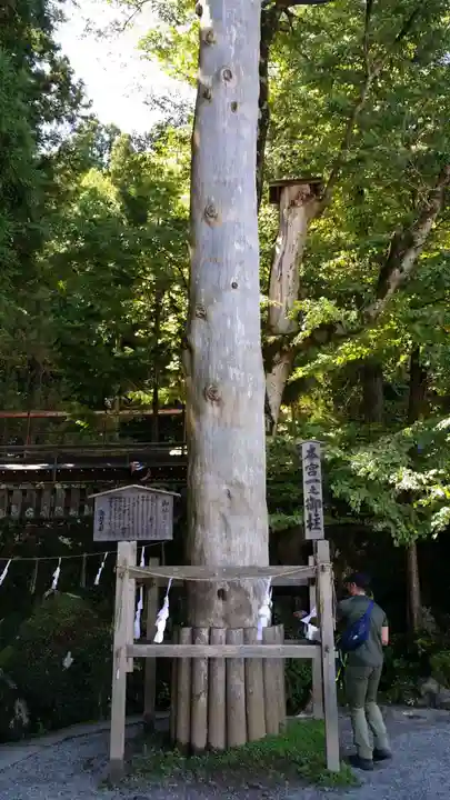 諏訪大社の自然