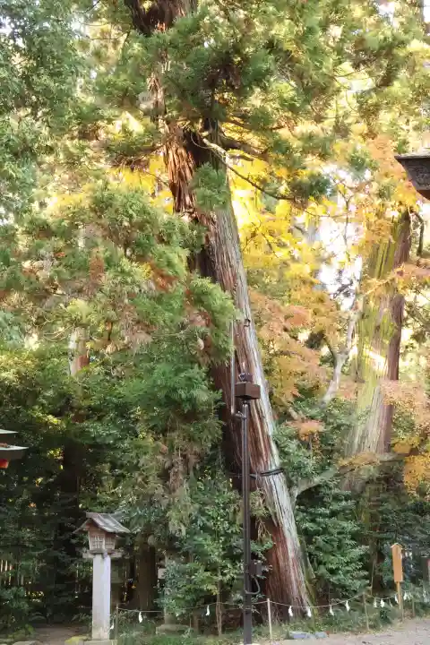 香取神宮(千葉県)