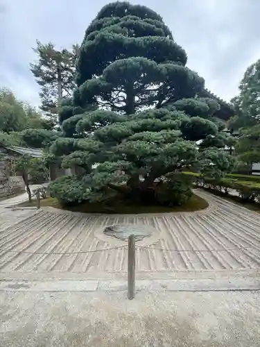 慈照寺（慈照禅寺・銀閣寺）(京都府)