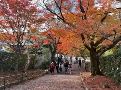 安楽寺(京都府)