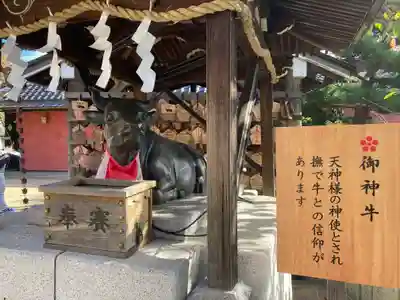北野天満神社の狛犬