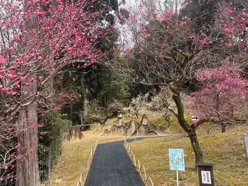 岩津天満宮(愛知県)