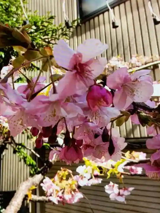 十番稲荷神社(東京都)
