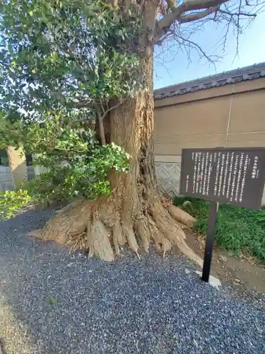 地福院（法光寺）(栃木県)