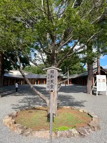 北海道神宮の自然