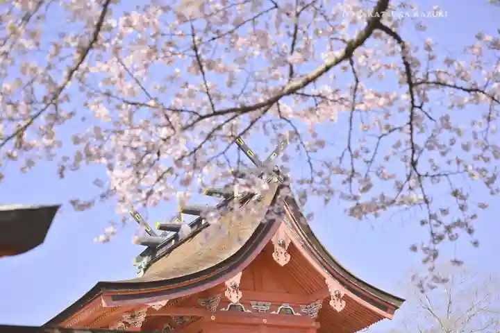 富士山本宮浅間大社(静岡県)
