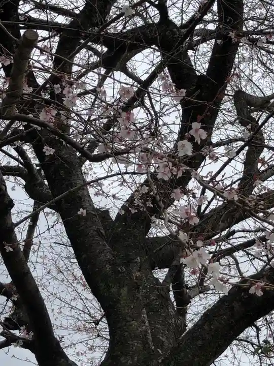 尾張猿田彦神社の自然