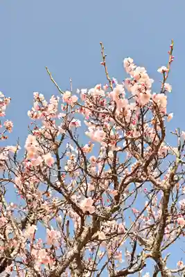 天徳寺(山口県)