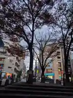 十番稲荷神社の自然