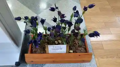 とんとん神社の芸術