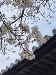 高家寺の本殿