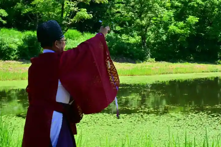 郡殿の池弁財天社(新潟県)