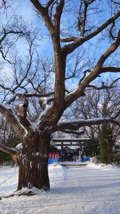 相馬神社(北海道)
