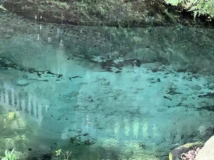 泉神社(茨城県)