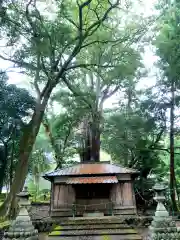 武速神社の本殿