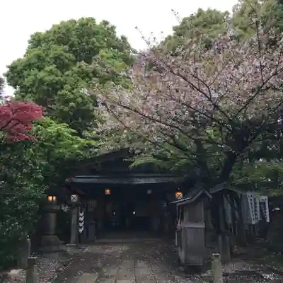 洲嵜神社の本殿・本堂
