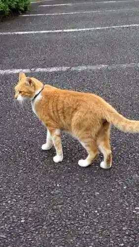 高長寺(神奈川県)