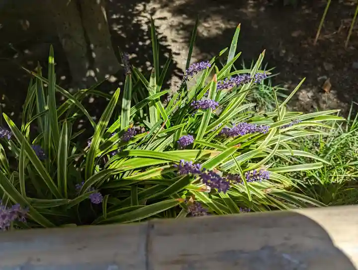 聖光寺(京都府)