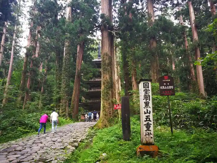 出羽神社(出羽三山神社)~三神合祭殿~の自然