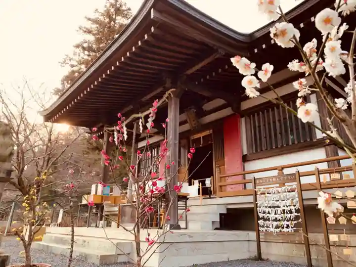 白山神社の鳥居