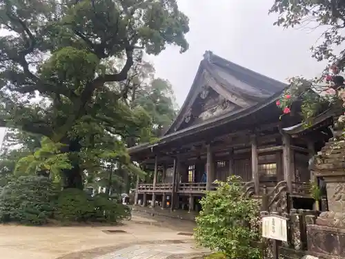 青岸渡寺(和歌山県)