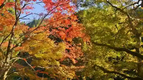 貴船神社の周辺