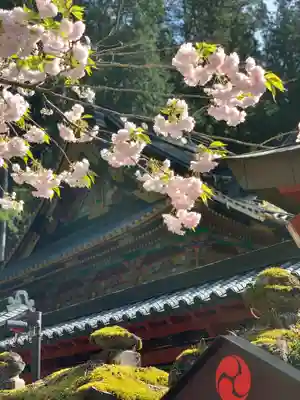 日光二荒山神社(栃木県)