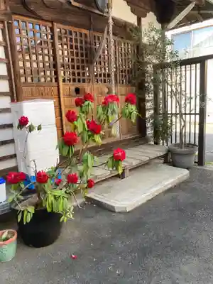 薬師堂(常保寺境外仏堂)(東京都)