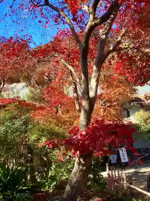 本土寺(千葉県)