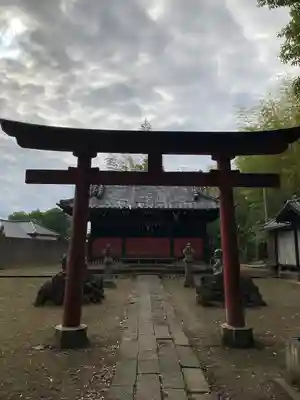 青毛五柱神社(埼玉県)