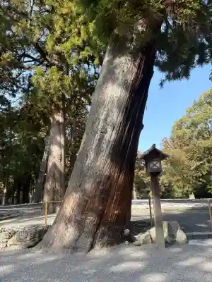 伊勢神宮外宮（豊受大神宮）の{uncategorized: "未分類", other: "その他", undefined: "問題あり", building: "その他建物", grave: "お墓", sacred_gate: "鳥居", guardian: "狛犬", statue: "像", buddha: "仏像", history: "歴史", nature: "自然", garden: "庭園", animal: "動物", pagoda: "塔", temizu: "手水舎", mountain_gate: "山門・神門", sanctuary: "本殿・本堂", subordinate: "末社・摂社", art: "芸術", scenery: "景色", jizo: "地蔵", ema: "絵馬", goshuin: "御朱印", omikuji: "おみくじ", items: "授与品その他", amulet: "お守り", goshuincho: "御朱印帳", eats: "食事", festival: "お祭り", votive_dance: "神楽", shichigosan: "七五三参", wedding: "結婚式", experience: "体験その他", initially: "初詣", around: "周辺", anti_infection: "感染症対策"}