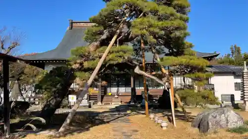 宗悟寺の本殿