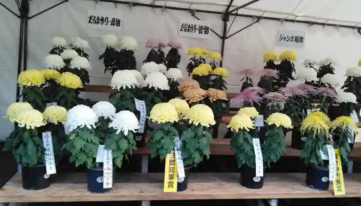 高幡不動尊 金剛寺の自然