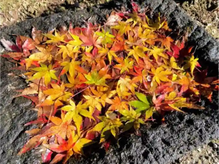 恩林寺(群馬県)