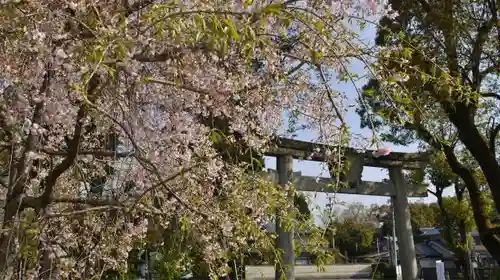 松尾大社のその他建物