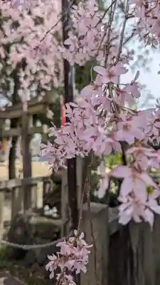 水火天満宮(京都府)