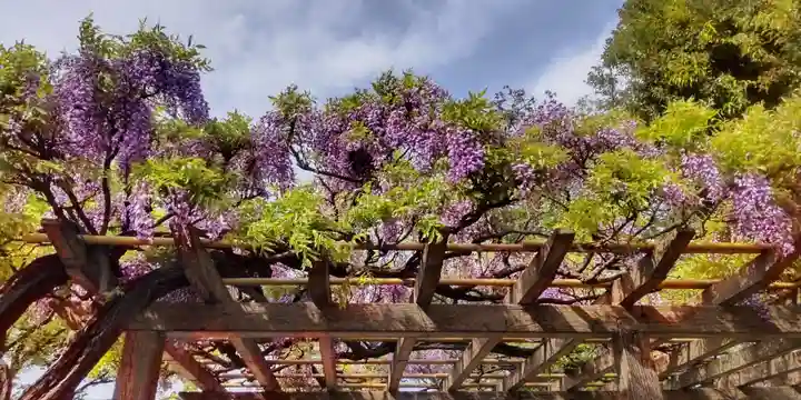 稲荷神社(東京都)