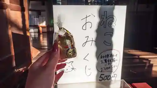 安居神社のおみくじ