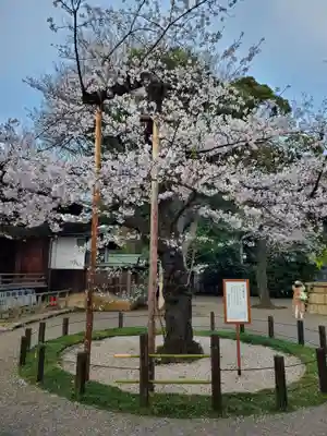 靖國神社(東京都)