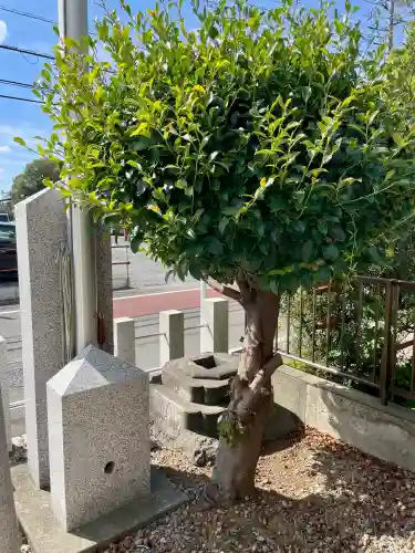 熊野山神社(埼玉県)
