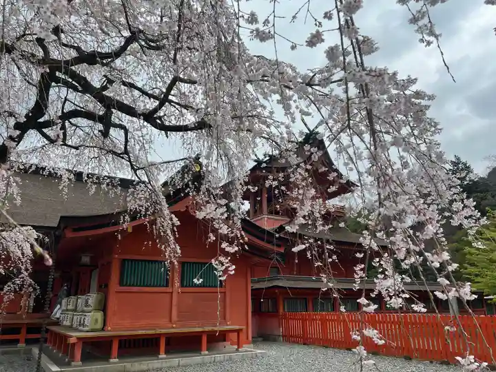 富士山本宮浅間大社(静岡県)