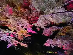 土津神社｜こどもと出世の神さまの自然