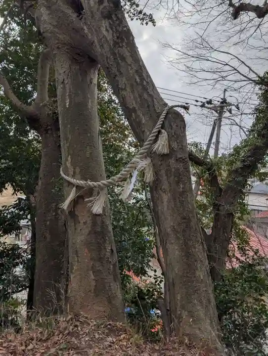 阿久津「田村神社」(郡山市阿久津町)旧社名:伊豆箱根三嶋三社(福島県)