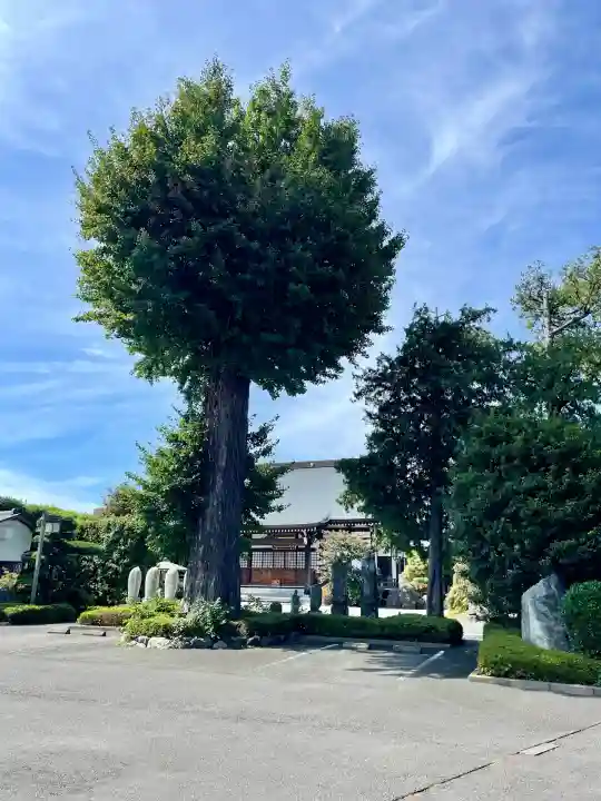 平安院(東京都)