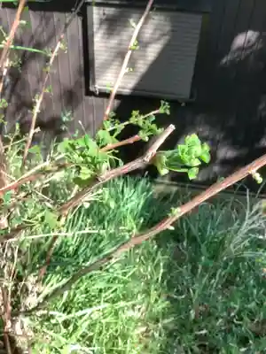 小垣江神明神社のその他建物