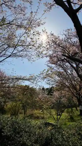 吉備津岡辛木神社(岡山県)