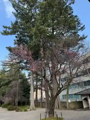 尾山神社の{uncategorized: "未分類", other: "その他", undefined: "問題あり", building: "その他建物", grave: "お墓", sacred_gate: "鳥居", guardian: "狛犬", statue: "像", buddha: "仏像", history: "歴史", nature: "自然", garden: "庭園", animal: "動物", pagoda: "塔", temizu: "手水舎", mountain_gate: "山門・神門", sanctuary: "本殿・本堂", subordinate: "末社・摂社", art: "芸術", scenery: "景色", jizo: "地蔵", ema: "絵馬", goshuin: "御朱印", omikuji: "おみくじ", items: "授与品その他", amulet: "お守り", goshuincho: "御朱印帳", eats: "食事", festival: "お祭り", votive_dance: "神楽", shichigosan: "七五三参", wedding: "結婚式", experience: "体験その他", initially: "初詣", around: "周辺", anti_infection: "感染症対策"}
