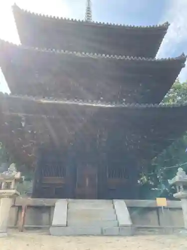 天寧寺の建物その他