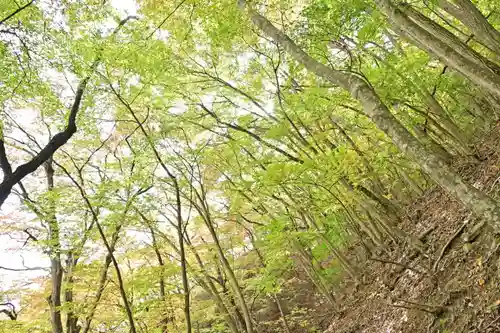 十二山神社(群馬県)